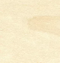 legno betulla