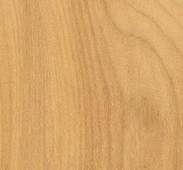 legno tasso