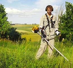 Il Decespugliatore