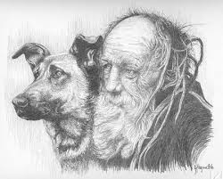 cane anziano