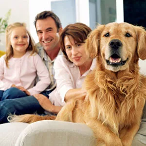 Categorie del manuale del veterinario
