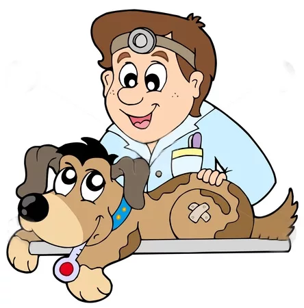 cura del cane