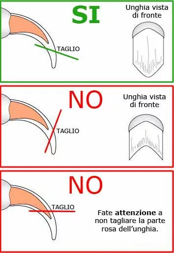 taglio unghie