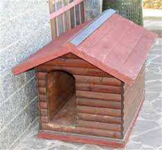 La cuccia del cane, un confortevole riparo