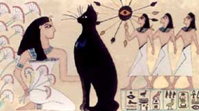 Addomesticamento e storia