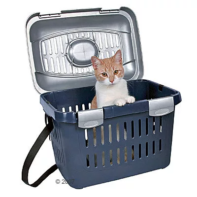gatto in piedi sul suo trasportino di plastica