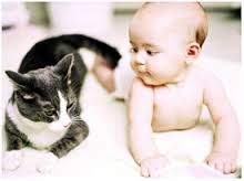 Gatti e bambini