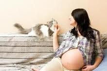 Toxoplasmosi